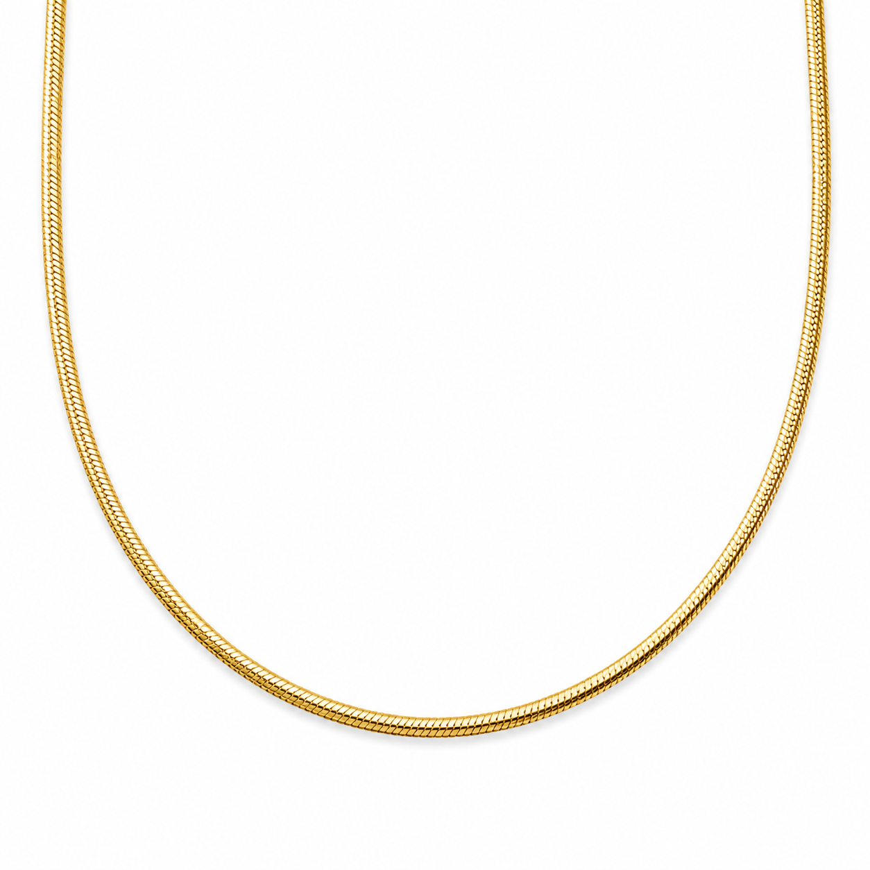 Elena Snake Chain Necklace